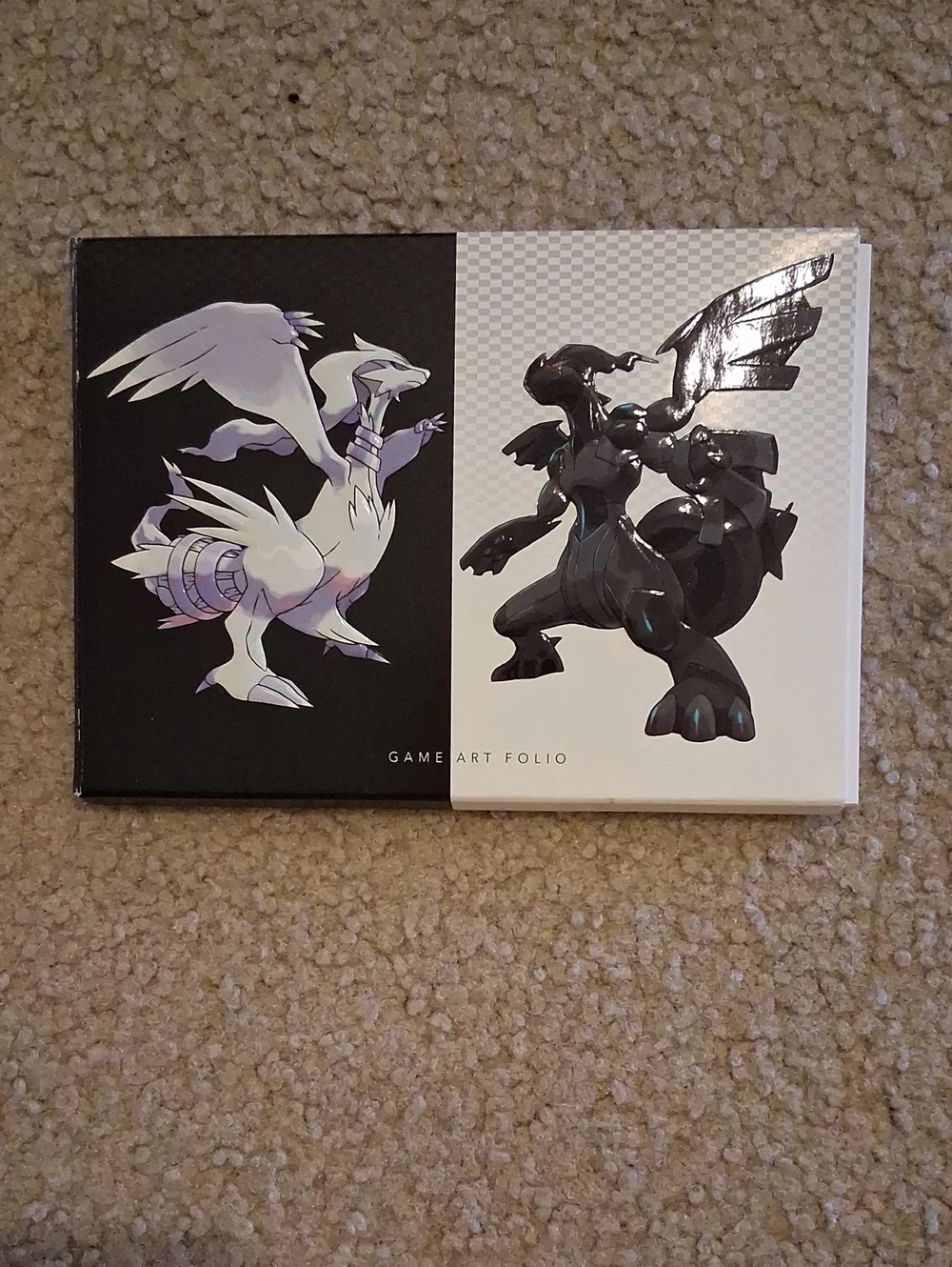 Game Art Folio Featuring White and Black Legendary Designs